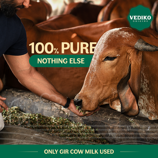 A2 Desi Cow Ghee