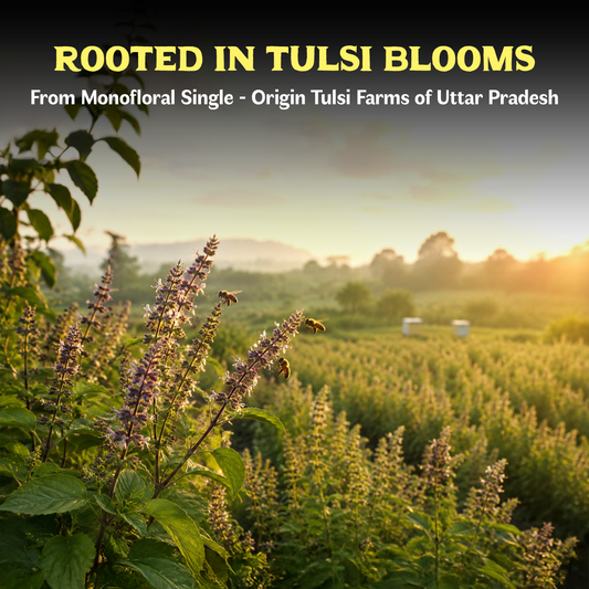 Raw Tulsi Honey