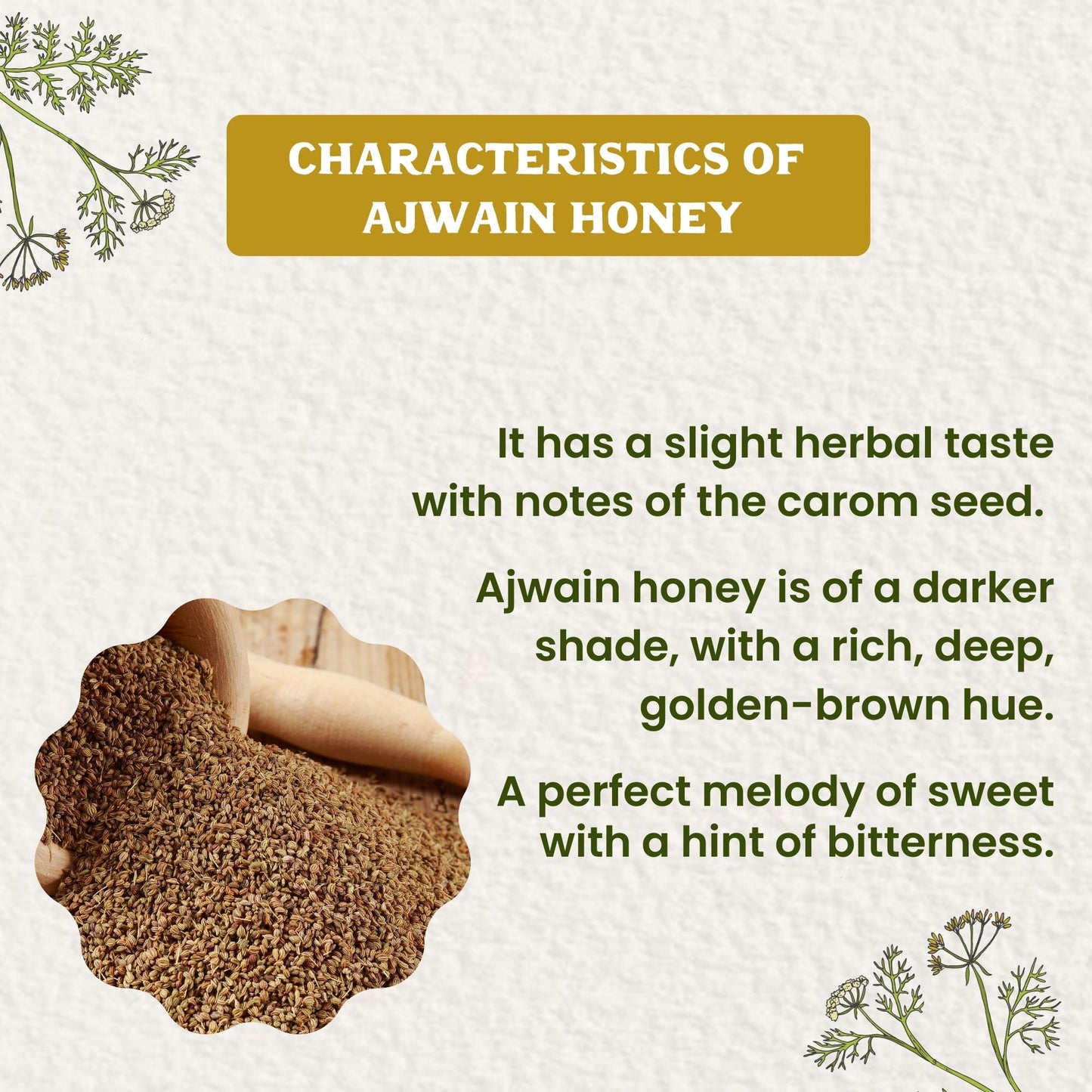 Raw Ajwain Honey