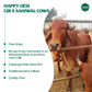 A2 Gir Cow Ghee